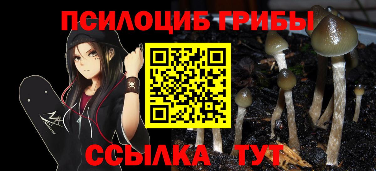 Галлюциногенные грибы Magic Shrooms Алапаевск